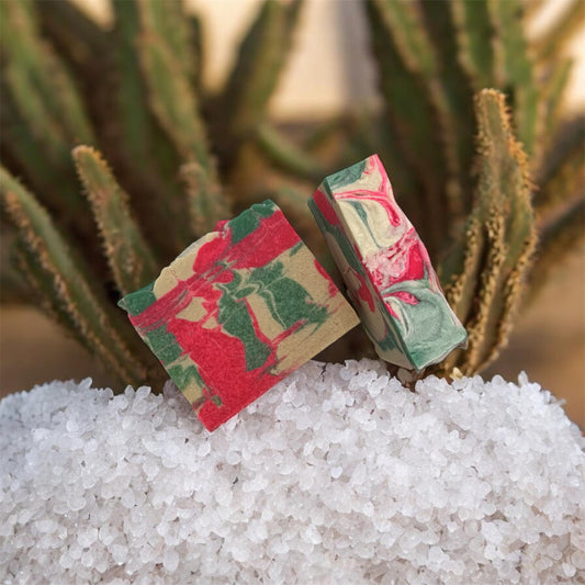 Cactus & sea salt